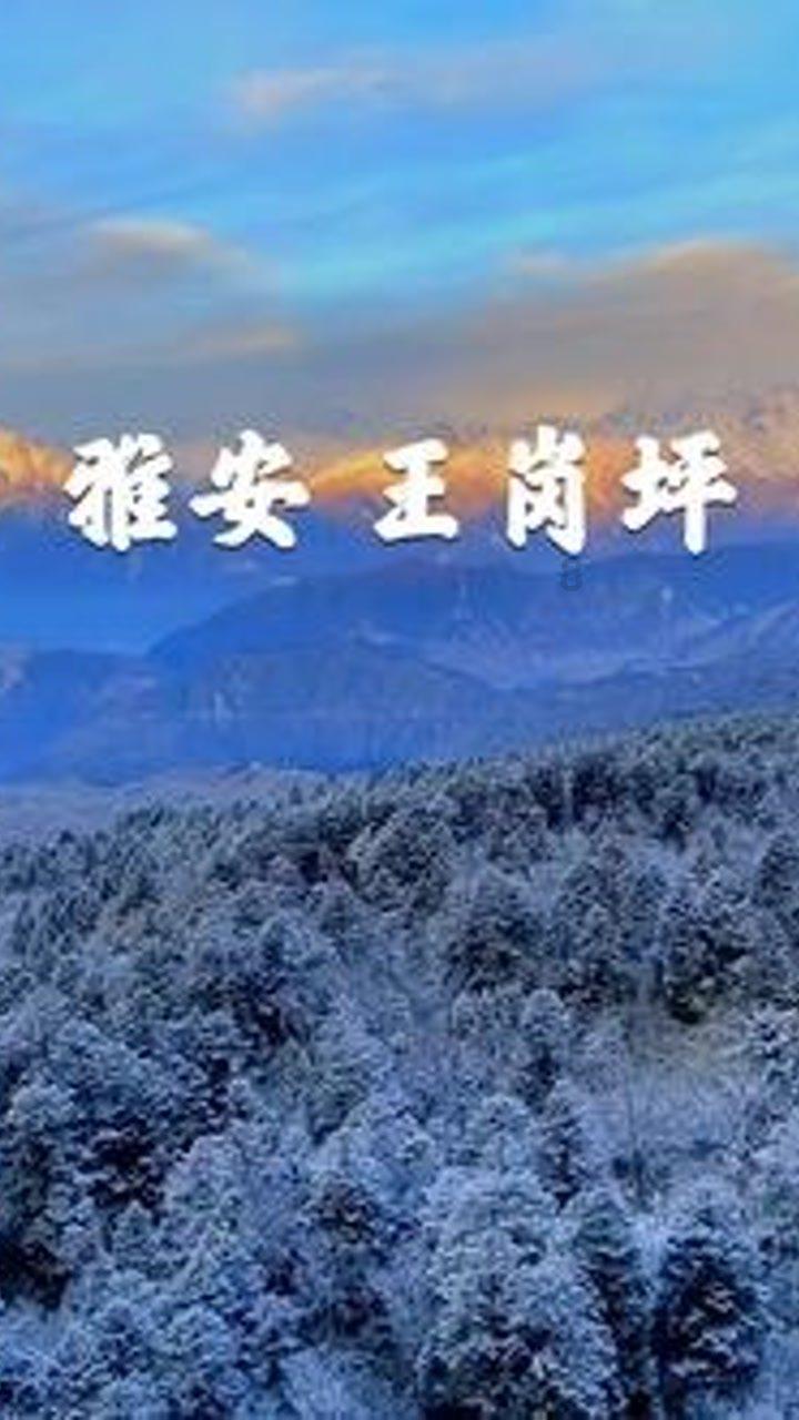 拳击俱乐部